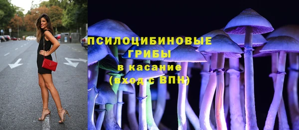 СК Мегион