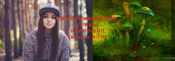 СК Мегион