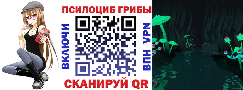 мега ссылки  Выкса  Псилоцибиновые грибы GOLDEN TEACHER 