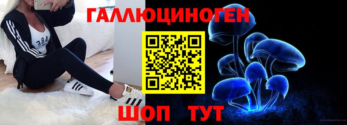 купить   Выкса  Псилоцибиновые грибы Magic Shrooms 